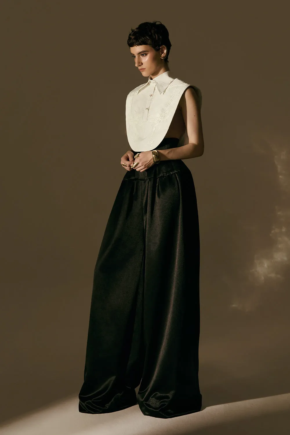 Aether Cropped Collared Neck Taffeta Top