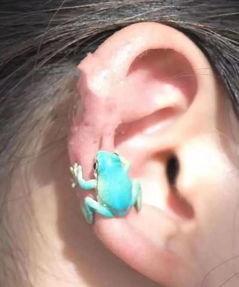 Chic Grass Green Alloy Frog Stud Earrings RA022