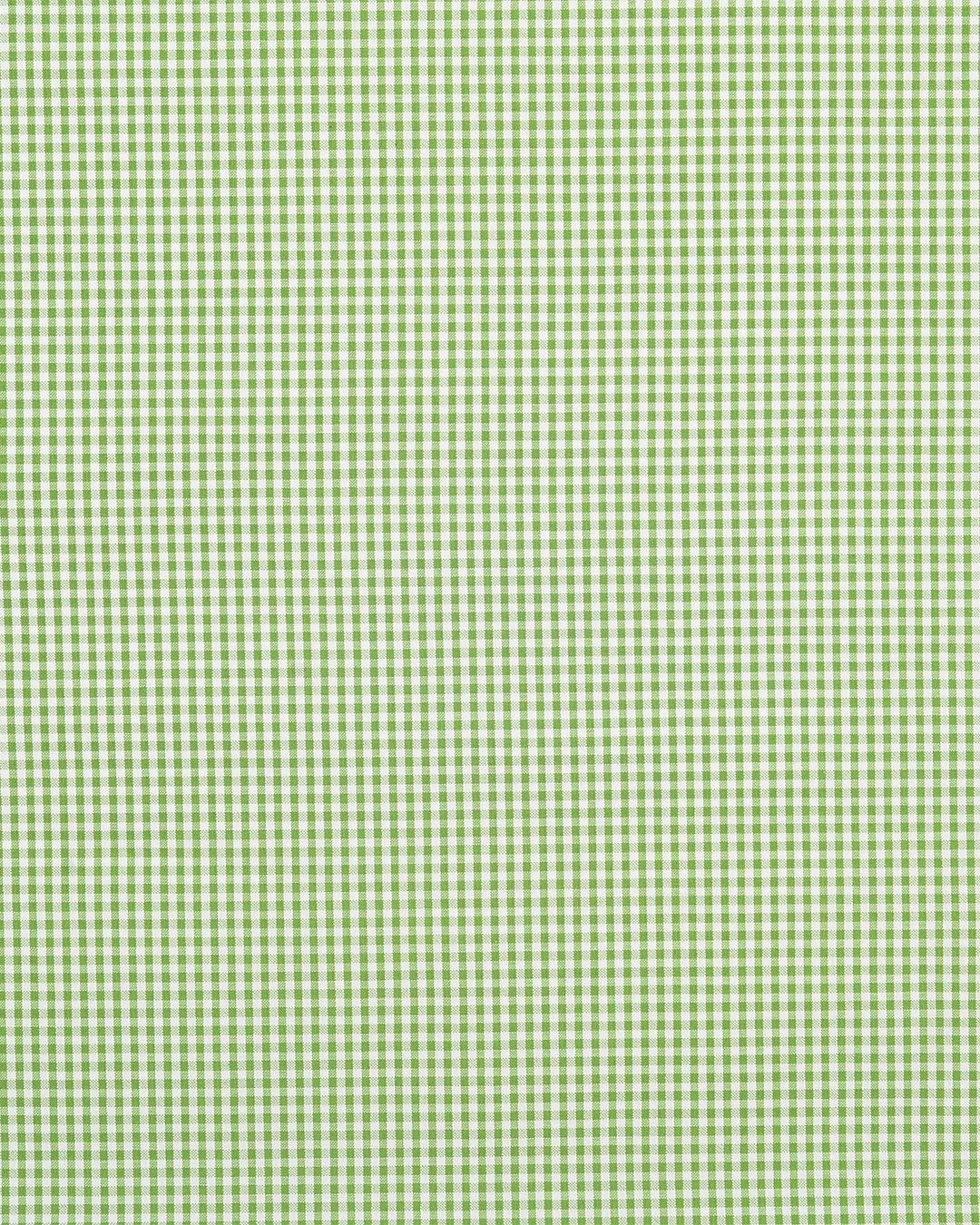 Green Small Gingham Seersucker Shirt