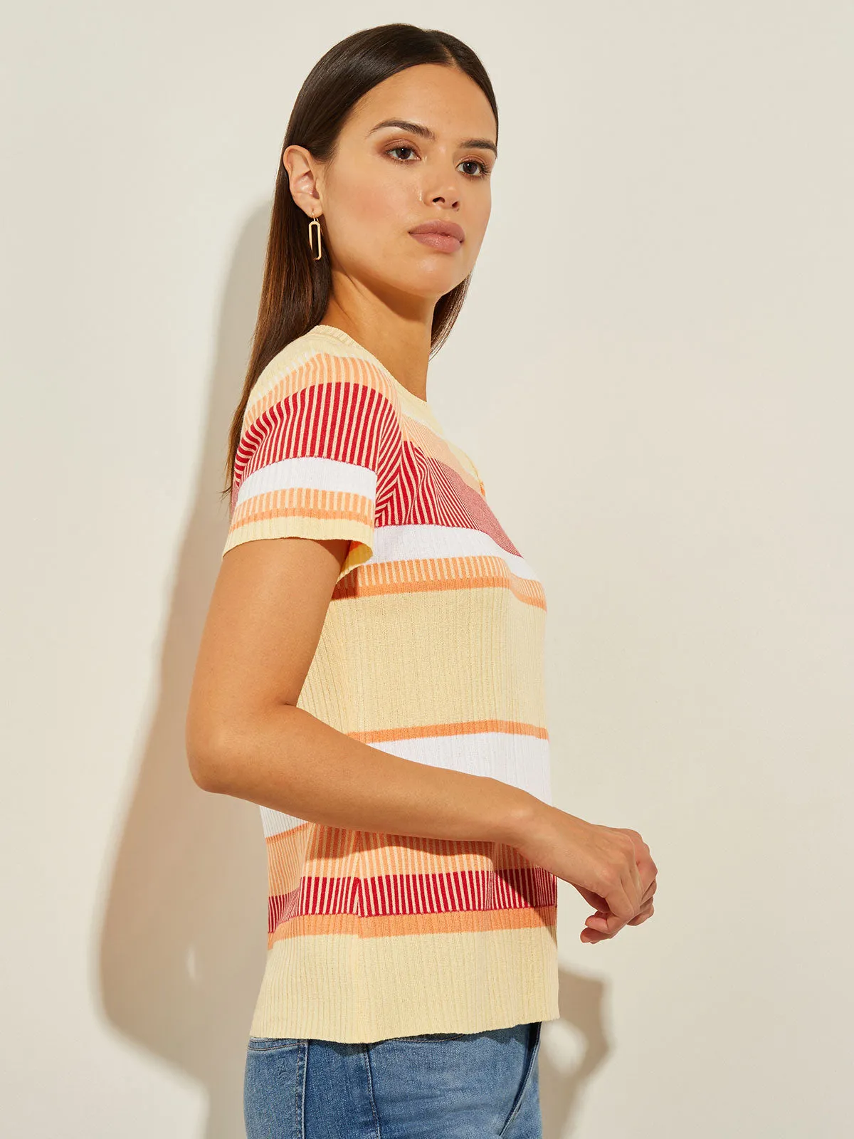 Short Sleeve Intarsia Striped Soft Knit Top