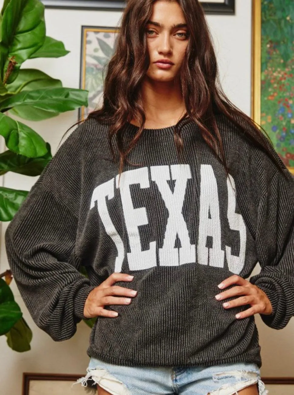 Texas Comfy Sweatshirt