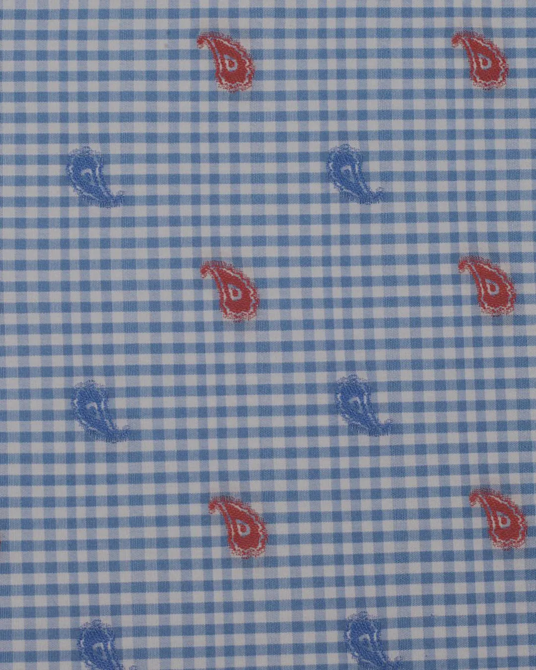 Vintage Embroidered Blue Gingham